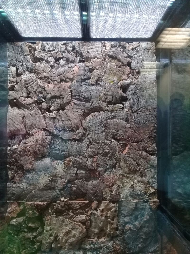 công viên Minoh Osaka công viên Minoh Osaka